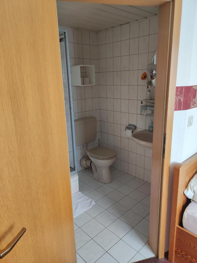 Hotel Jaegerhalle Falkenstein  Экстерьер фото